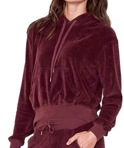 Sundry Velour Hoodie Sweater Cacao